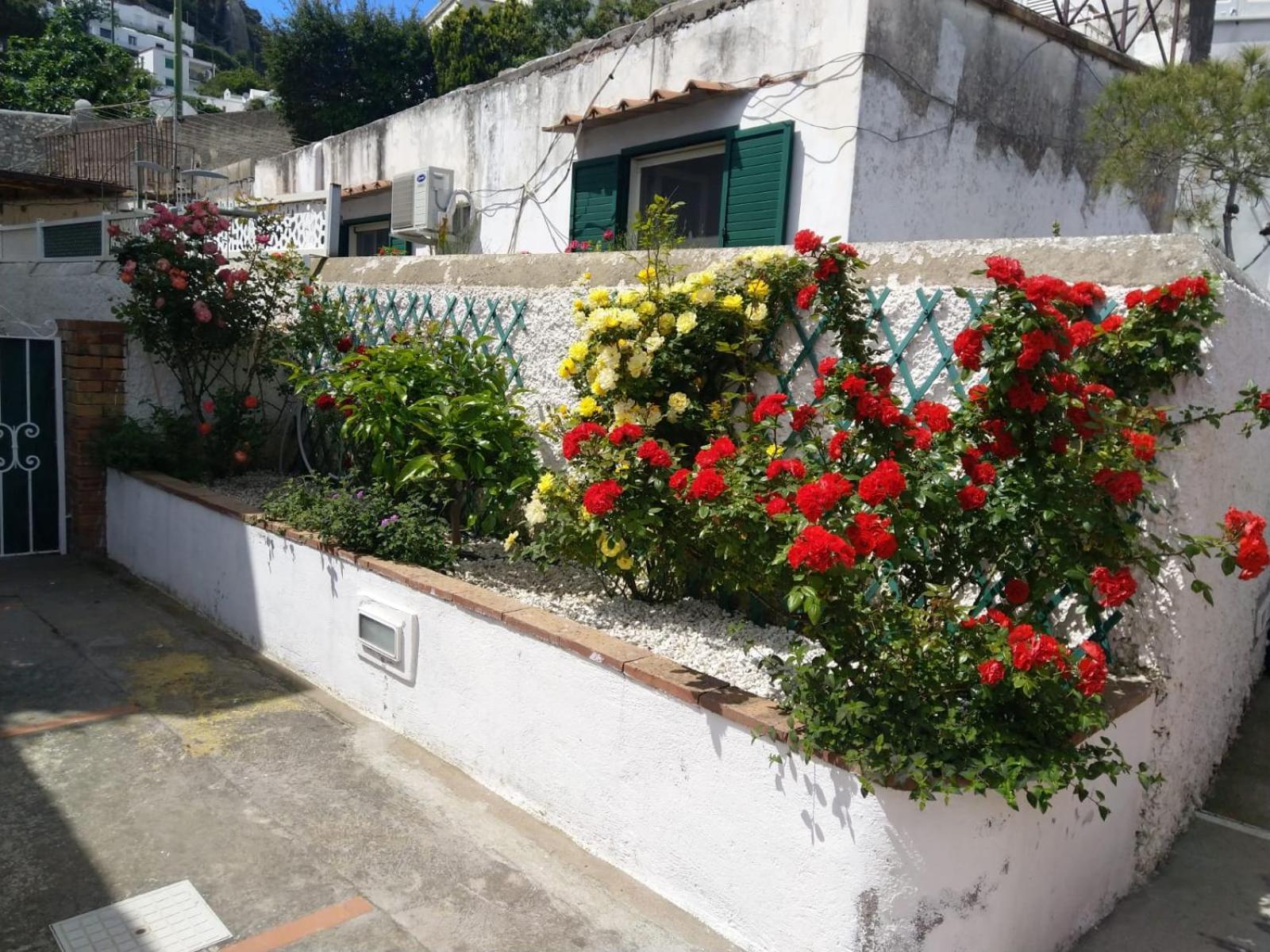 La Marocella Villa Capri Exterior foto