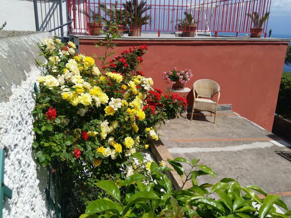 La Marocella Villa Capri Exterior foto