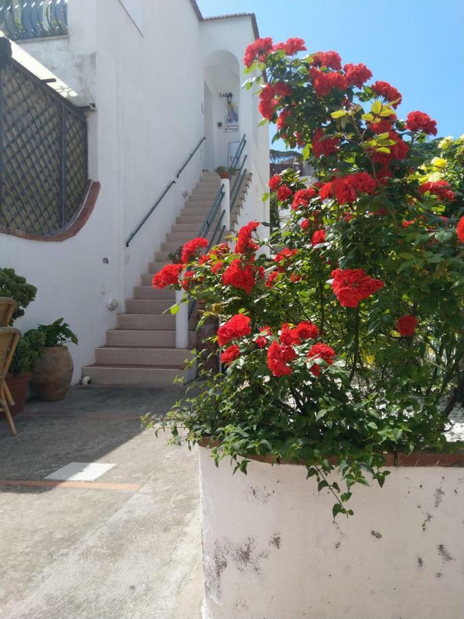 La Marocella Villa Capri Exterior foto